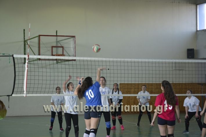 volley_1o-alexandreias-melikis2018 (22)